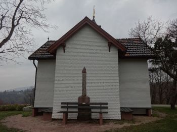 Tocht Te voet  - Weinweg Eckberg/Schafberg - Photo