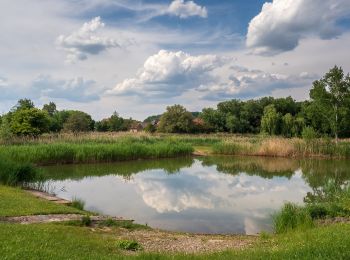 Tocht Te voet Lisberg - Rundweg Lisberg L 2 