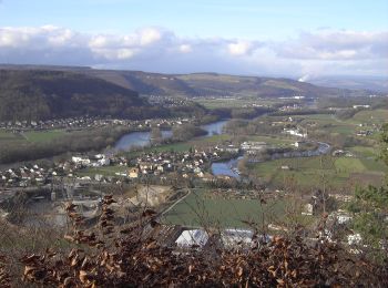 Tour Zu Fuß Baden - Baden - Anzflue - Photo