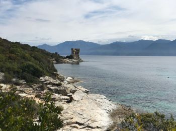 Trail Walking Saint-Florent - Fiume santu -Saleccia - Photo