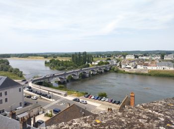 Randonnée Cyclotourisme Candé-sur-Beuvron - E Candé sur Beuvron à Montlouis sur Loire  - Photo