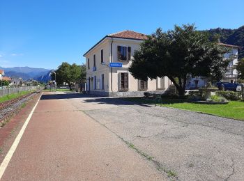 Trail On foot Quarona - Monte Tovo - Photo