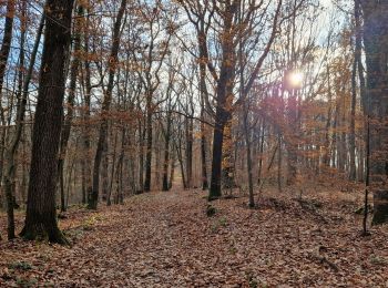 Tocht Stappen Milon-la-Chapelle - Yvelines_Milon-La-Chapelle=>Circuit_Jean-Racine=>Beauregard - Photo