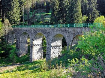 Percorso A piedi Pernink - NS Krušnohornická - Photo