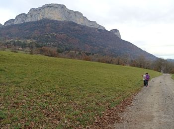 Tour Wandern Dingy-Saint-Clair - dingue charvex - Photo