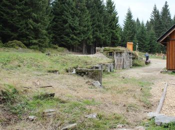 Tour Zu Fuß Friedrichswald - [M] Stammelův kříž - U Knejpy - Photo