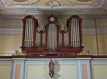 Randonnée A pied Gemeinde St. Leonhard am Hornerwald - Kulinarikweg - Photo