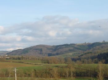 Percorso Mountainbike Roanne - Activité l'après-midi - Photo