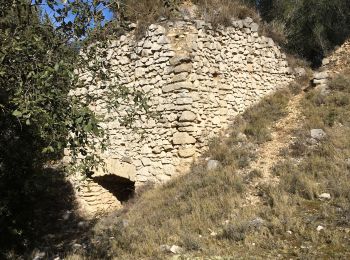 Excursión Senderismo Sénas - GB La cabre et la pecoule  - Photo