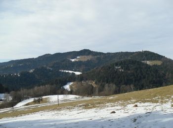 Tocht Te voet Leutschach an der Weinstraße - Grenzpanoramaweg - Photo