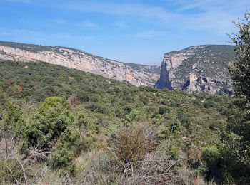 Trail Walking Alquézar - Alquezar - Photo