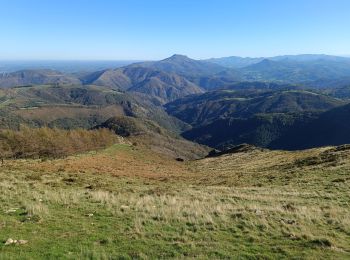 Excursión Senderismo Irún - pena de aia  - Photo