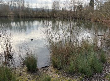 Randonnée Marche Amay - La gravière Amay A/R - Photo