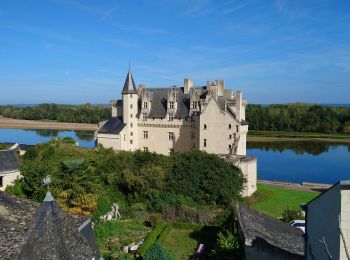 Tocht Stappen Candes-Saint-Martin - Candes-Saint-Martin - Montsoreau GR3 - 9.6km 140m 2h25 (40mn) - 2023 10 01 - Photo