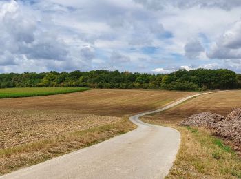 Excursión Senderismo Doische - Balade à Matagne-la-Petite - Photo