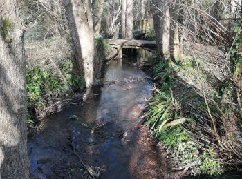 Trail Walking Honfleur - Honfleur Equemauville - Photo