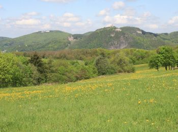 Randonnée A pied Remagen - Oberwinter Rundweg 2 - Photo