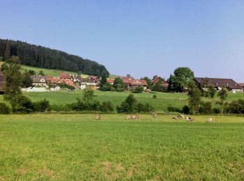 Randonnée A pied Mettmenstetten - Herferswil - Ober Mettmenstetten - Photo