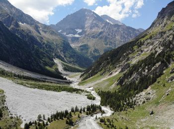 Tour Zu Fuß Kandersteg - Kanderfirn - Heimritz - Photo