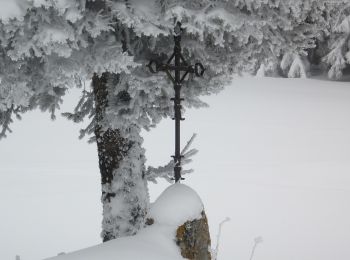 Excursión A pie Grandrif - Sur la piste du chevreuil - Photo