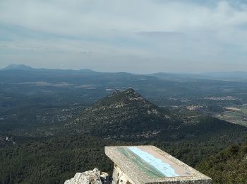 Randonnée Marche Cotignac - Tour du gros Bessillon - Photo