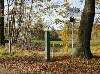 Randonnée A pied Schwepnitz - Energie-Entdeckerpfad - Photo