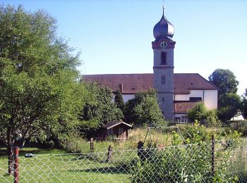 Randonnée A pied Schefflenz - Rundwanderweg Schefflenz 3: Langer-Weg - Photo