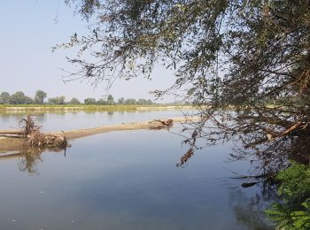 Randonnée Marche Orio Litta - CR_Francigena_BG_18_Orio-Litta_Plaisance_20190916 - Photo