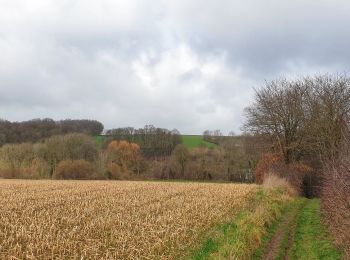 Tour Wandern Incourt - Balade à Piétrebais - Incourt - Photo