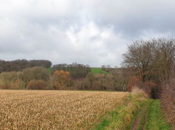 Randonnée Marche Incourt - Balade à Piétrebais - Incourt - Photo