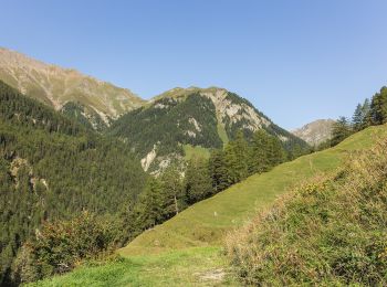 Randonnée A pied Valsot - Vna - Piz Arina - Photo