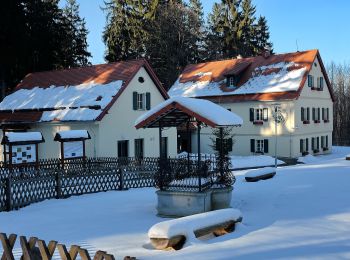 Randonnée A pied Carlsbad - NS Příroda spijuje - Svatý Linhart - Photo