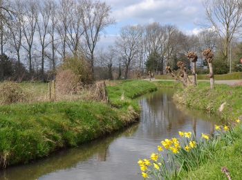 Percorso A piedi Maasgouw - Kessenich en de Drie Eigen Rode driehoek - Photo