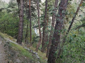 Percorso Camminata nordica Hérémence - vallée de la borgne - Photo