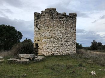 Tocht Stappen Saint-Laurent-la-Vernède - Rando Natura 2020 - Photo