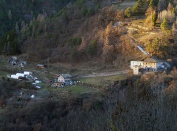 Percorso A piedi Capriana - Via Nova - Photo