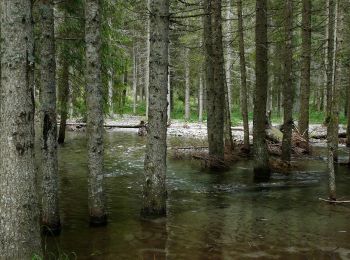 Percorso A piedi Breno - anello escursionistico piana del Gaver - Photo