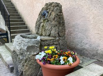 Excursión Senderismo Gémenos - Espigoullier vers Nans les pins  - Photo