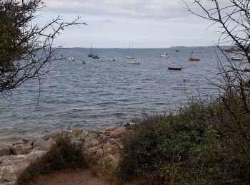 Excursión Senderismo Plougrescant - Le gouffre, la pointe du château à Plougrescant - Photo