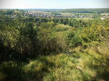 Randonnée Marche Viroinval - Nismes, Fondry des chiens et belle boucle dans les bois - Photo