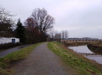 Excursión A pie Rotselaar - Zegbroek Rood Vierkant - Photo