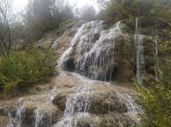 Randonnée A pied Fuertescusa - SL-CU 13 Sendero del Cañizar - Photo