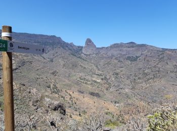 Randonnée Marche Alajeró - Canaries - La Gomera - Imada - Jour 5 - Photo