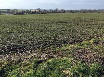 Trail On foot Madré - Boucle du Tenet - Photo