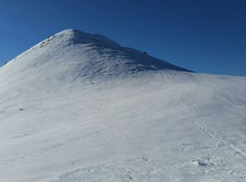 Tour Schneeschuhwandern Montaillou - Montaillou - Quercourt - Cassaula  - Photo