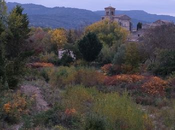 Trail Walking Saint-Hilaire - Boucle de Saint-Hilaire - Photo