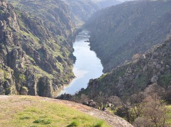 Tocht Te voet Miranda do Douro - São João das Arribas - Photo