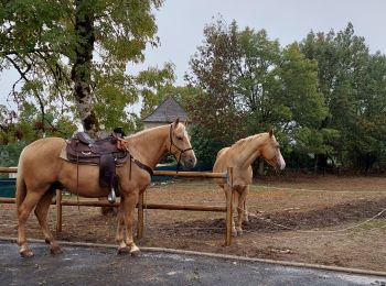 Excursión Paseo ecuestre Loubressac - Rando cavaliers Laroque Loubressac 9 Oct 22 - Photo