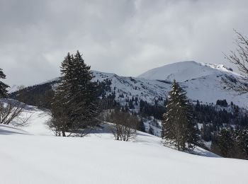 Randonnée Marche Megève - COL DU JAILLETdepuis Maison Neuve 1280m - Photo