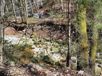 Tocht Stappen Morbier - les 3 commères- Morez - Morbier  - Photo